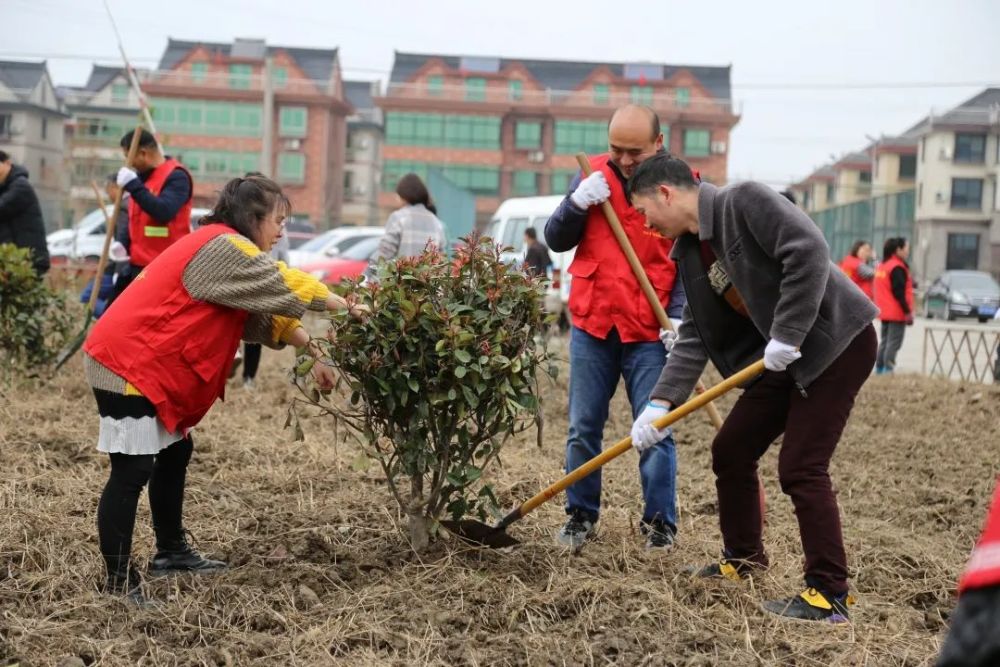 春风催新绿植树正当时植树节袁花镇领导与全镇各单位村在行动