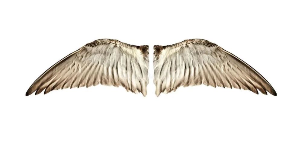 地球|作为小朋友，该如何获得飞行能力？