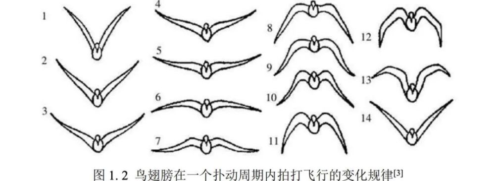 地球|作为小朋友，该如何获得飞行能力？