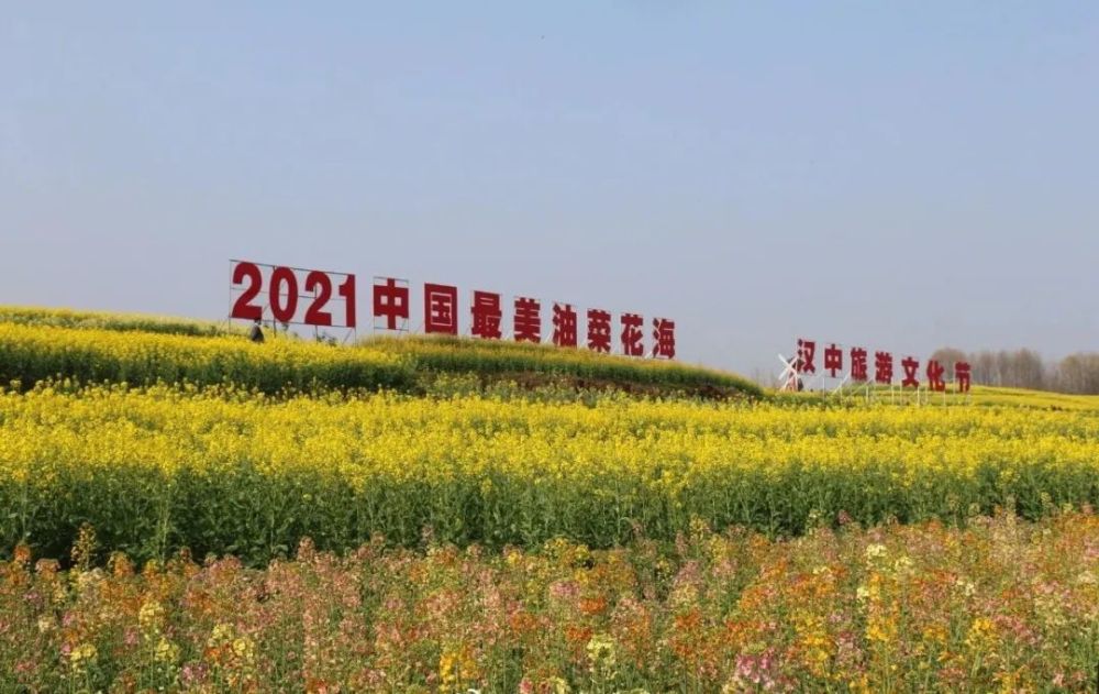 汉阴油菜花节2021图片