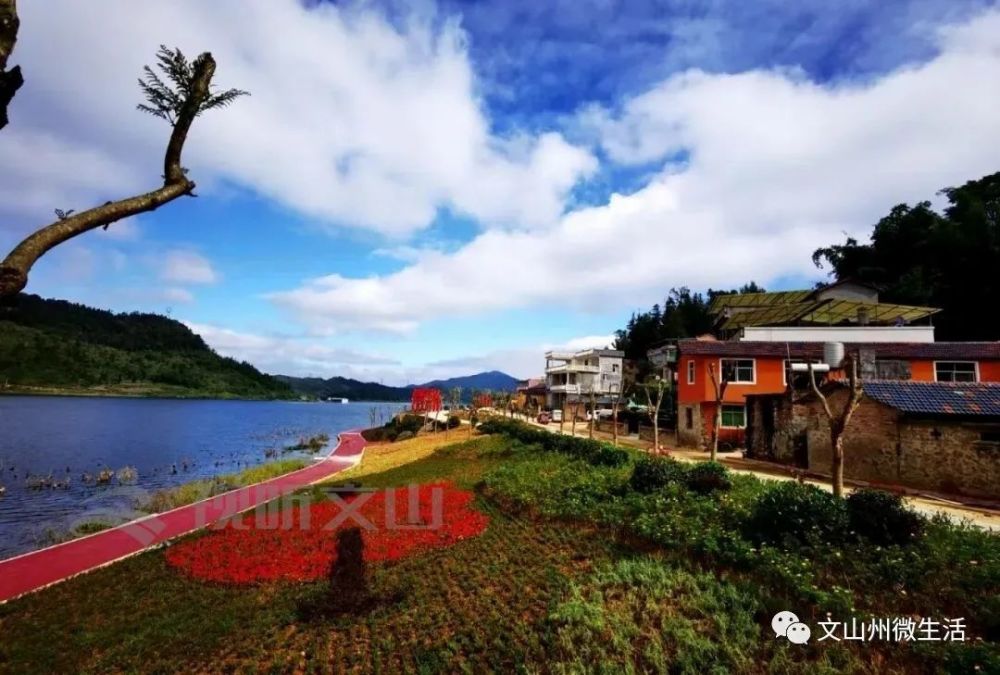 乡村旅游打卡拍照技巧图(乡村旅游打卡拍照技巧图片)