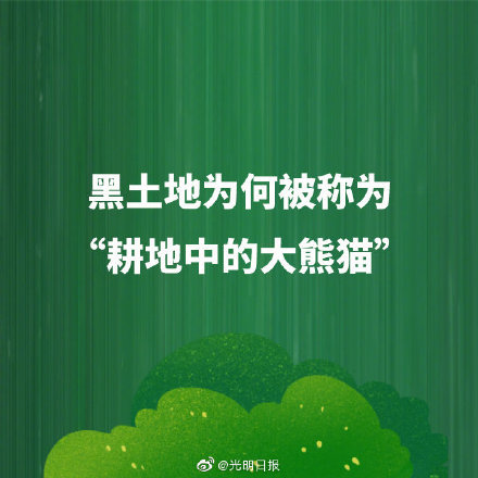 东北|黑土地为何被称为耕地中的大熊猫