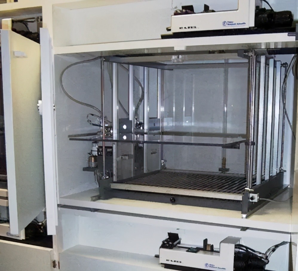 大脑|牛脾气？牛真的脾气大吗？丨牛年说牛