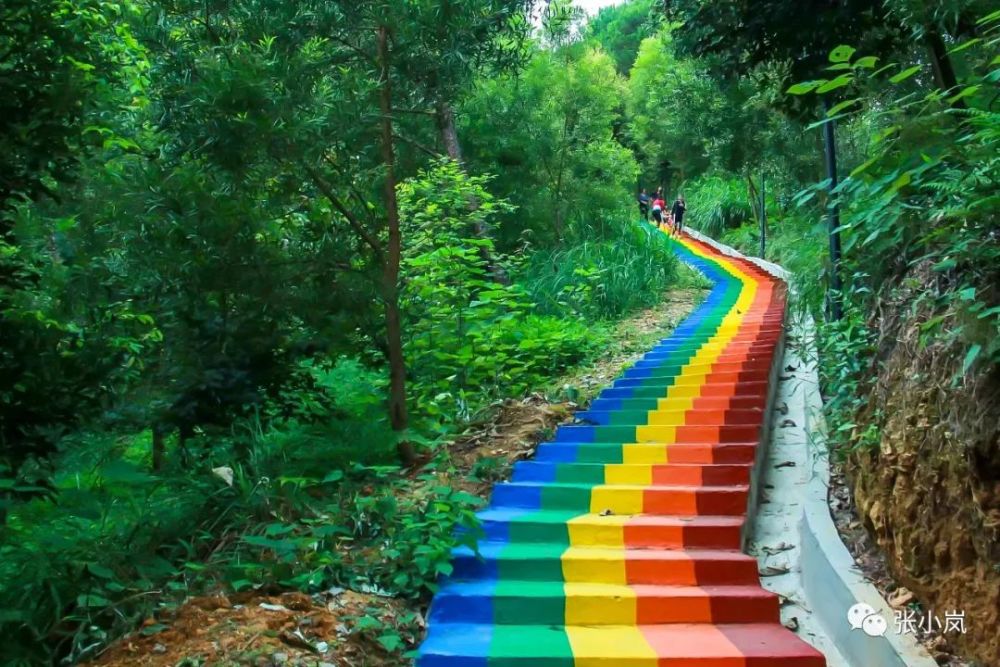 大城小事有一种颜色叫韶关绿