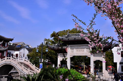 上海嘉定一厉害小镇,人口将近30万,去年gdp超400亿,未来可期|震川书院