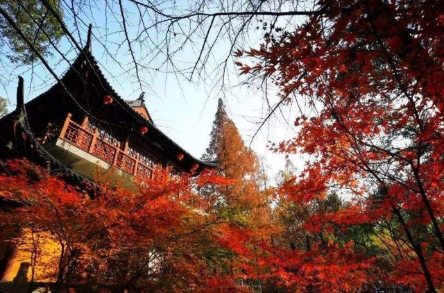 南京市人均gdp_中国新一线城市人均收入排名:苏州第一、杭州第二、南京第三