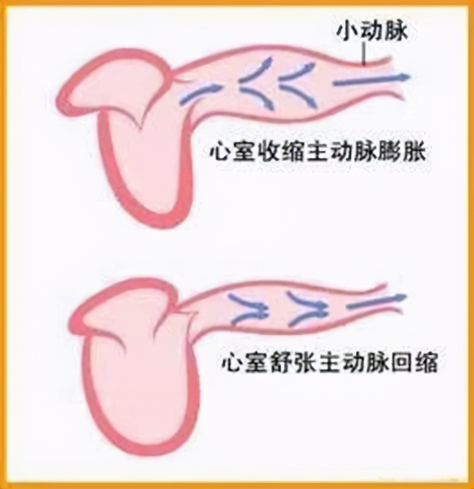 舒张压呢,是心脏舒张期,血管扩张后的弹性回缩力形成的.