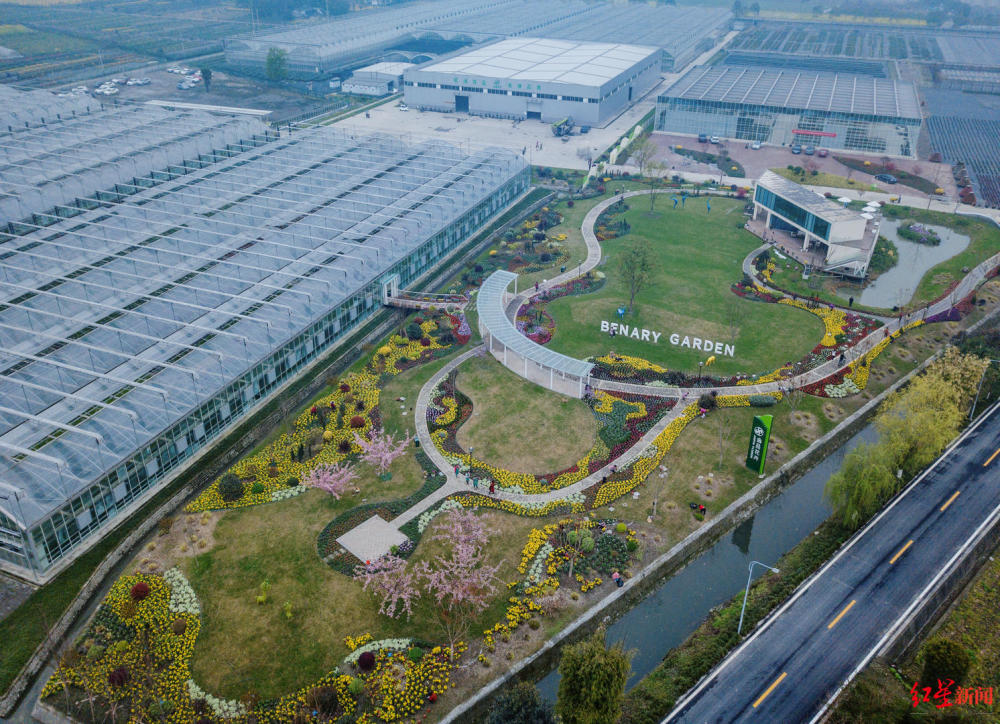 大棚|带动农户年收入90万！这个“科技”农业基地，还有体验式场景