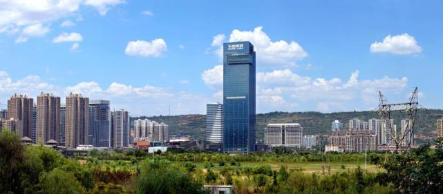 陕西东岭集团从投石问路到火眼金睛