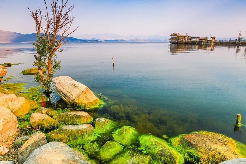 在心花路放取景地体验白族生活欣赏绝美湿地寻找诗和远方