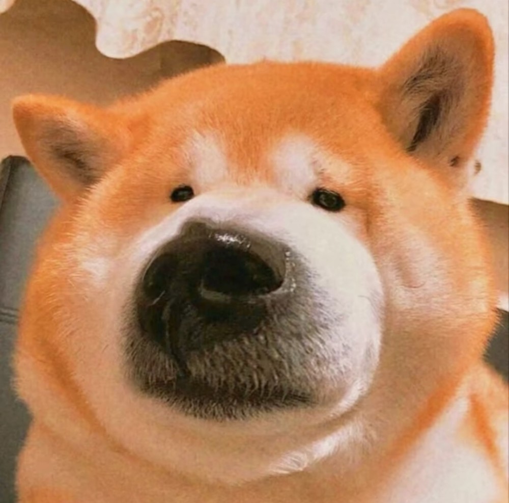 搞怪头像|这个夏天会很热,相信我们很快就熟了_腾讯新闻