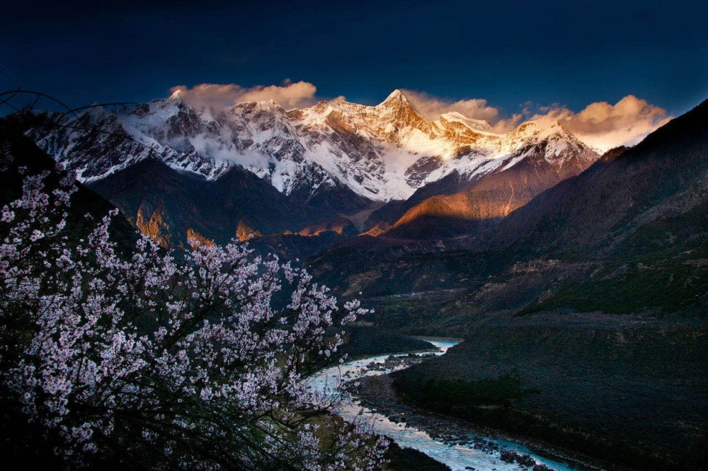 今年三月,一起来西藏林芝看桃花!