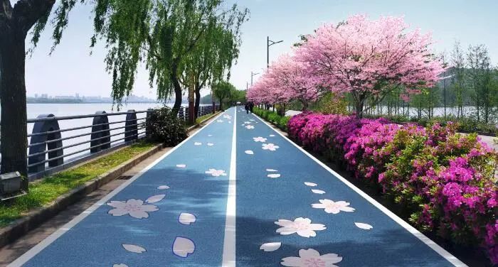无锡最美"樱花大道"来了_腾讯新闻