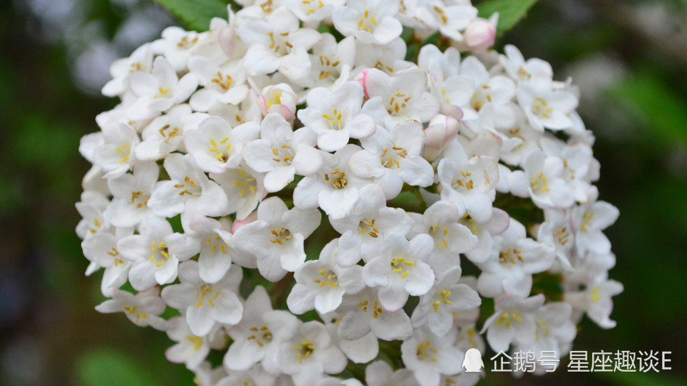 3月14日星座运势 巨蟹脚踏实地 天蝎目光长远 射手迎接挑战 腾讯新闻