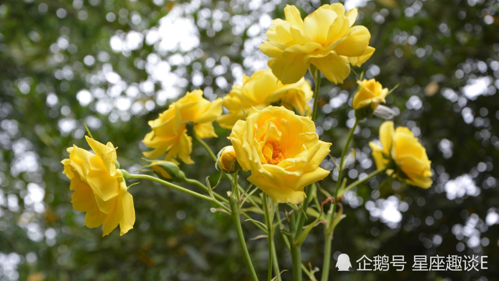3月14日 日星座运势 巨蟹配合默契 天蝎助人为乐 双鱼量力而为 腾讯新闻