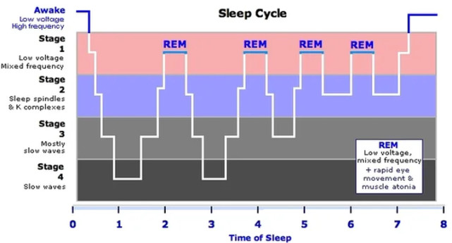 极端的睡眠达芬奇睡眠法