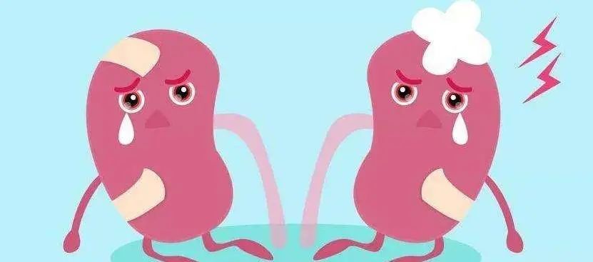 肾脏|尿毒症患者越来越年轻？做好这3点，保护肾脏，远离肾脏疾病