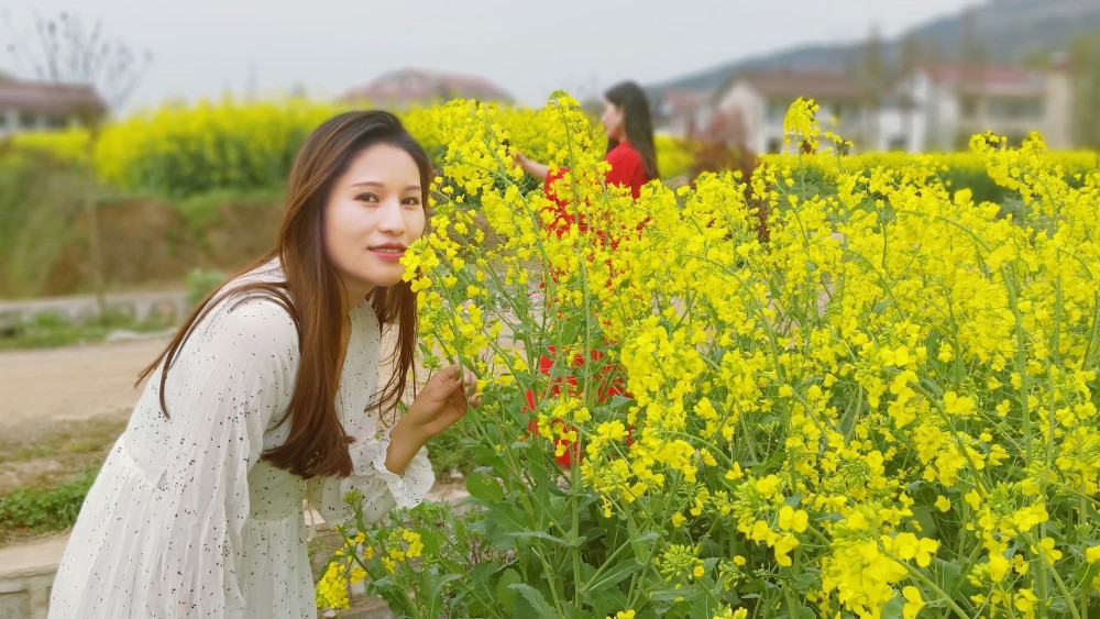 踏青時光:徜徉於漢中油菜花海_騰訊新聞