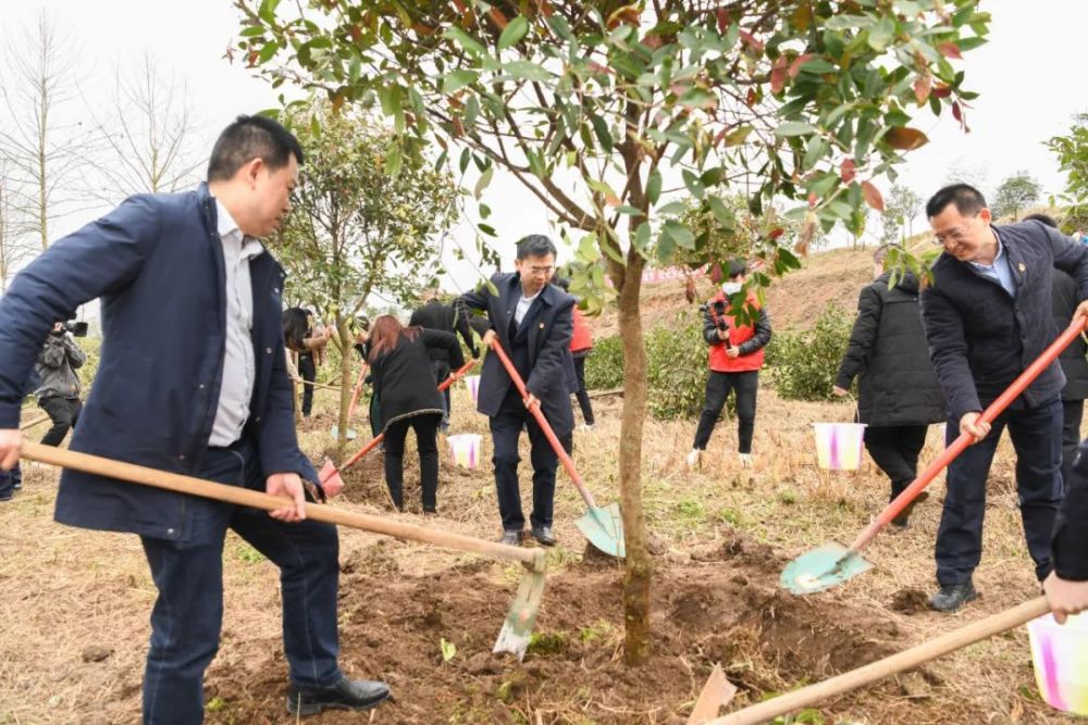 种下希望和美好昨天包惠带头植树为达州添绿