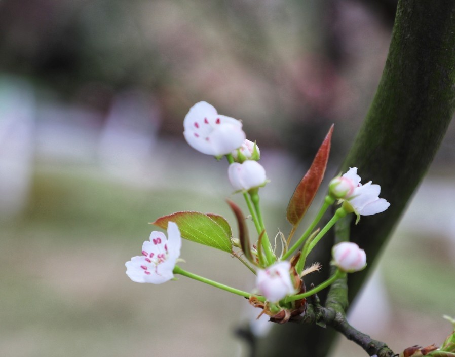 赤橙黄绿青蓝紫 腾讯新闻