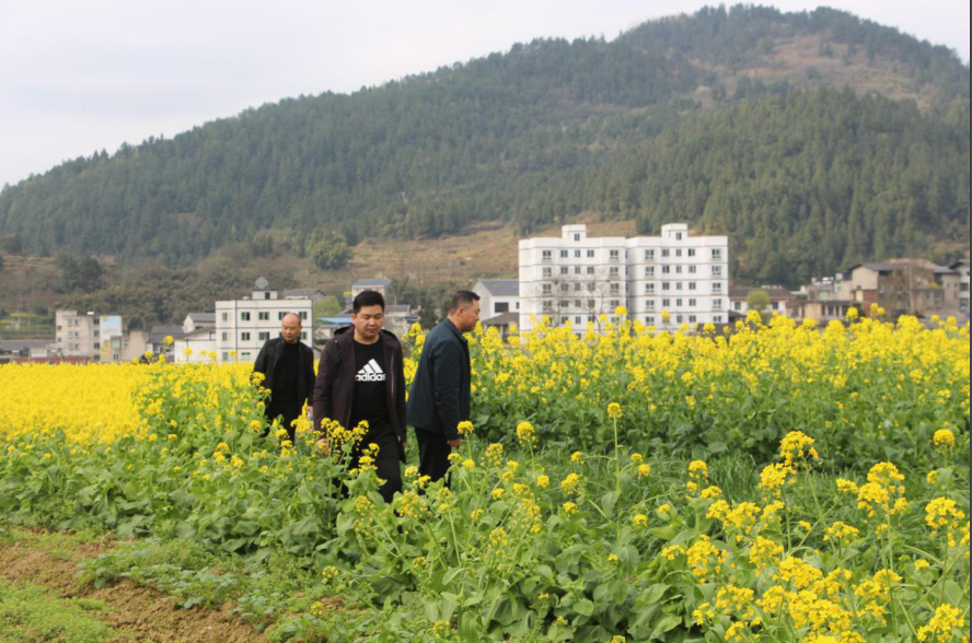 绥阳加大禁毒踏查力度,确保"零"种植