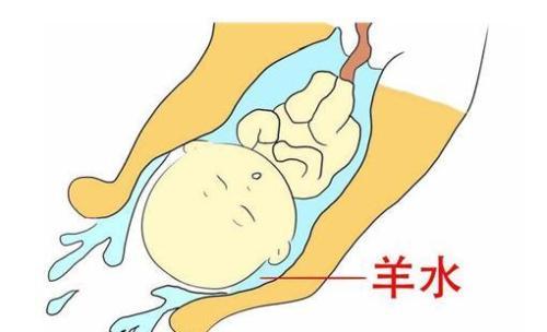 育儿早知道 孕妈妈体内羊水对胎儿的影响及作用 腾讯新闻
