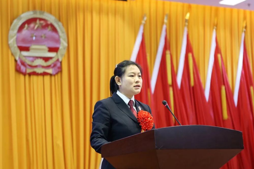 报告人:纳溪区人民检察院第一检察部副主任,一级检察官杨欣全国模范