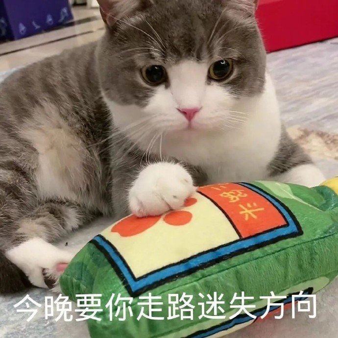 萌寵表情包:我已經猜到了你的小心思!