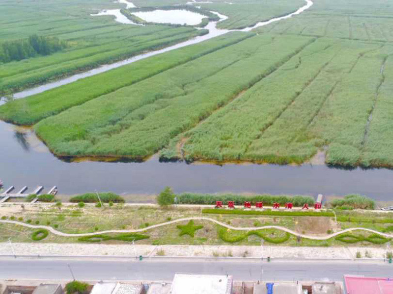 雄安新区雄县七间房乡白洋淀重回水清苇绿