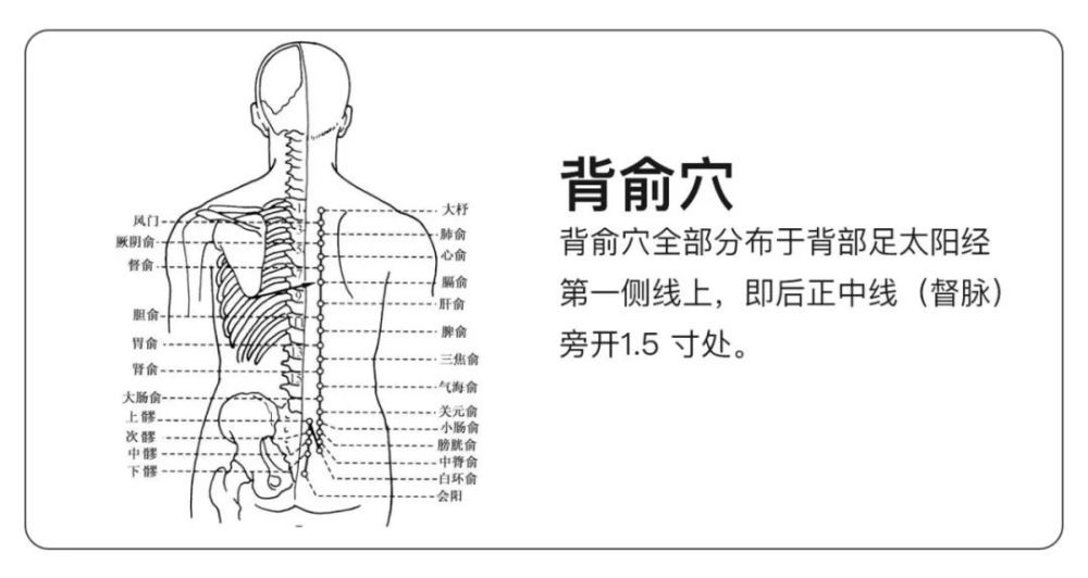 二月二龙抬头丨春日养阳,除了食补还可以这么做_腾讯新闻