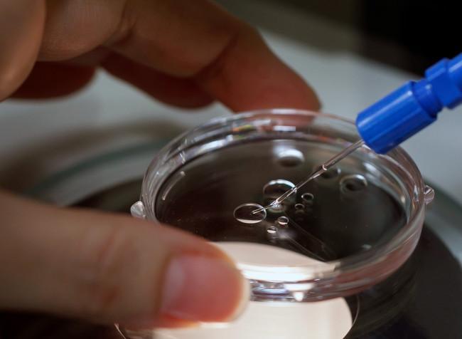 月球|美国科学家提出将670万精子卵子送往月球，作为世界末日种子库