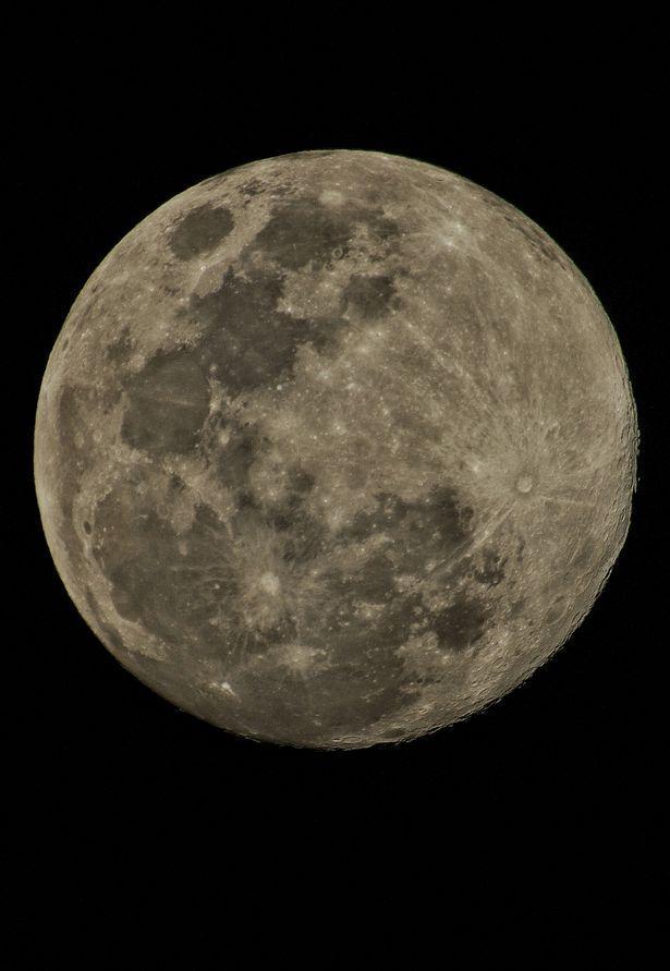 月球|美国科学家提出将670万精子卵子送往月球，作为世界末日种子库