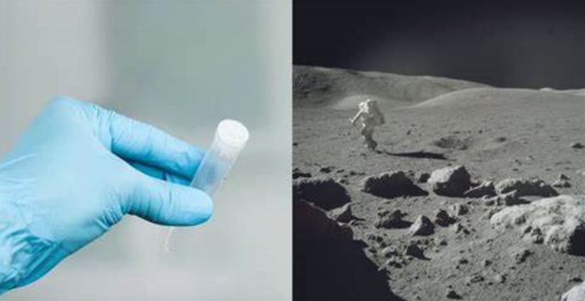 月球|美国科学家提出将670万精子卵子送往月球，作为世界末日种子库