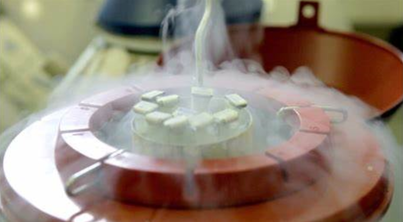 月球|美国科学家提出将670万精子卵子送往月球，作为世界末日种子库