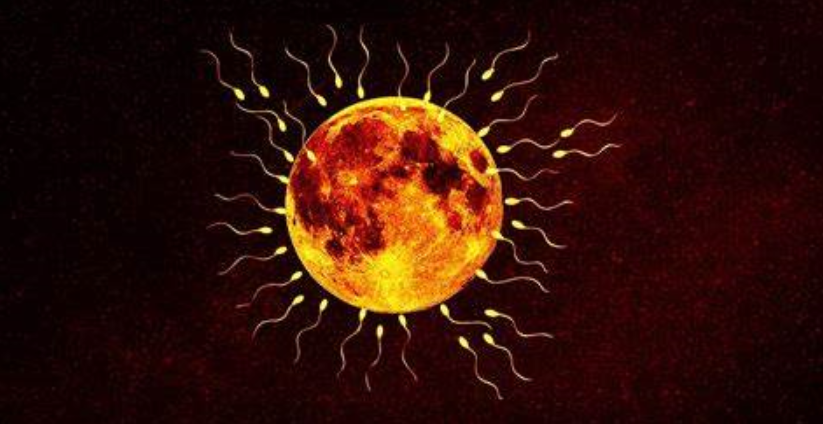 月球|美国科学家提出将670万精子卵子送往月球，作为世界末日种子库