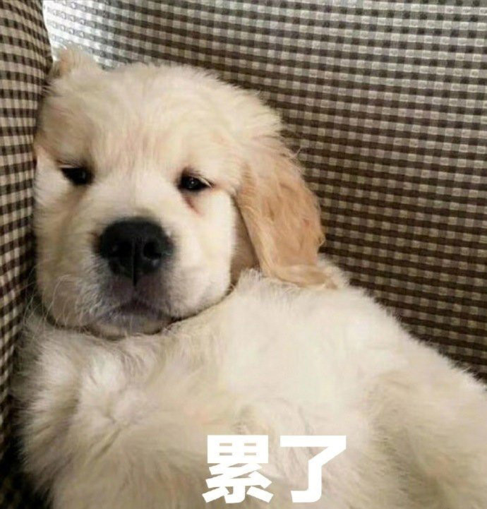 狗子系列表情包_腾讯新闻