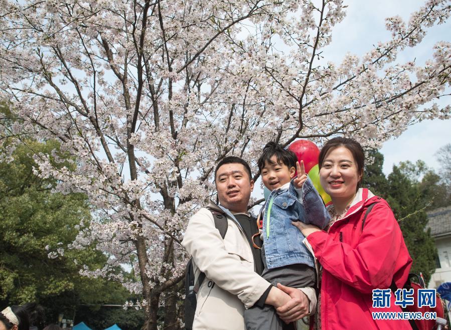 摄3月13日,上海第四批中医医疗队龙华医院医护人员在武汉大学樱花树下
