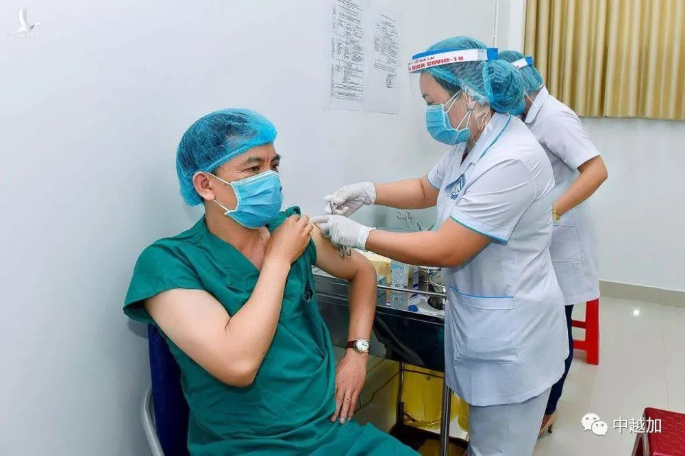 越南12人接种阿斯利康疫苗后出现严重不良反应,卫生部紧急要求开展