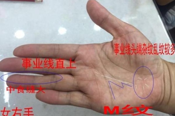 手相上出现以下几种纹 预示先苦后甜 越老越有福气 感情线 财运 运势 事业线 手相 智慧线