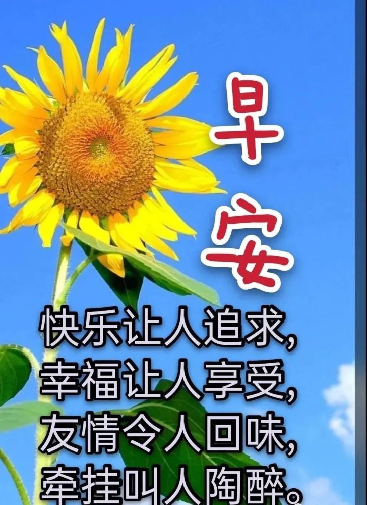 2022最新早上好特漂亮動態祝福圖片帶字最暖心的早安問候語動態表情