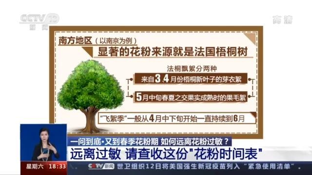 花粉过敏让你英雄气短 寻找罪魁祸首 送你防范利器 毛毛虫 柏树 花粉过敏 过敏 花粉 杨树