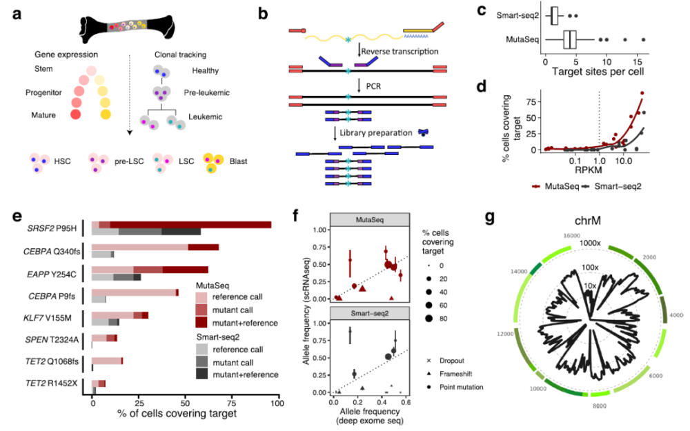 单细胞转录组|Nature子刊｜新型单细胞转录组测序方法可实现肿瘤克隆鉴定及追踪