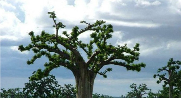 卢旺达是个怎样的国家?