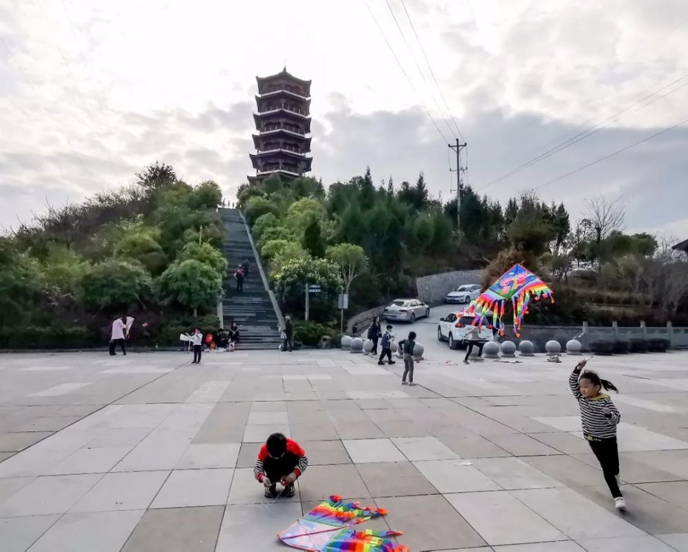 朝云公园的樱花已经盛开花蕊部分的玫红加上花瓣的淡粉娇艳又淡雅巫山