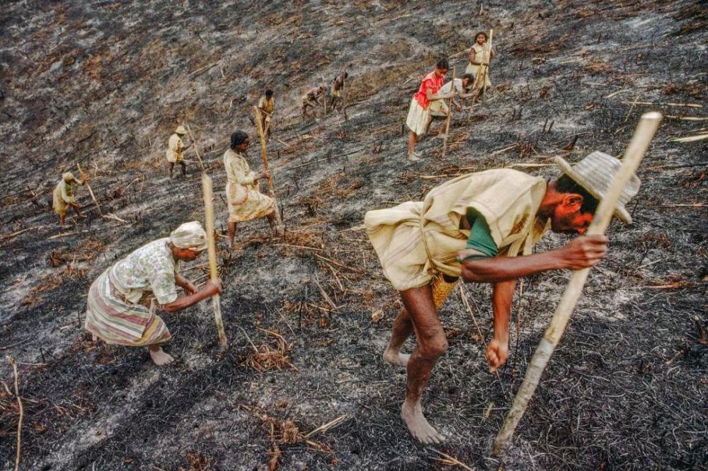 冬天|2100年气候大变？夏天180天，冬天不到两月，人类应该警惕