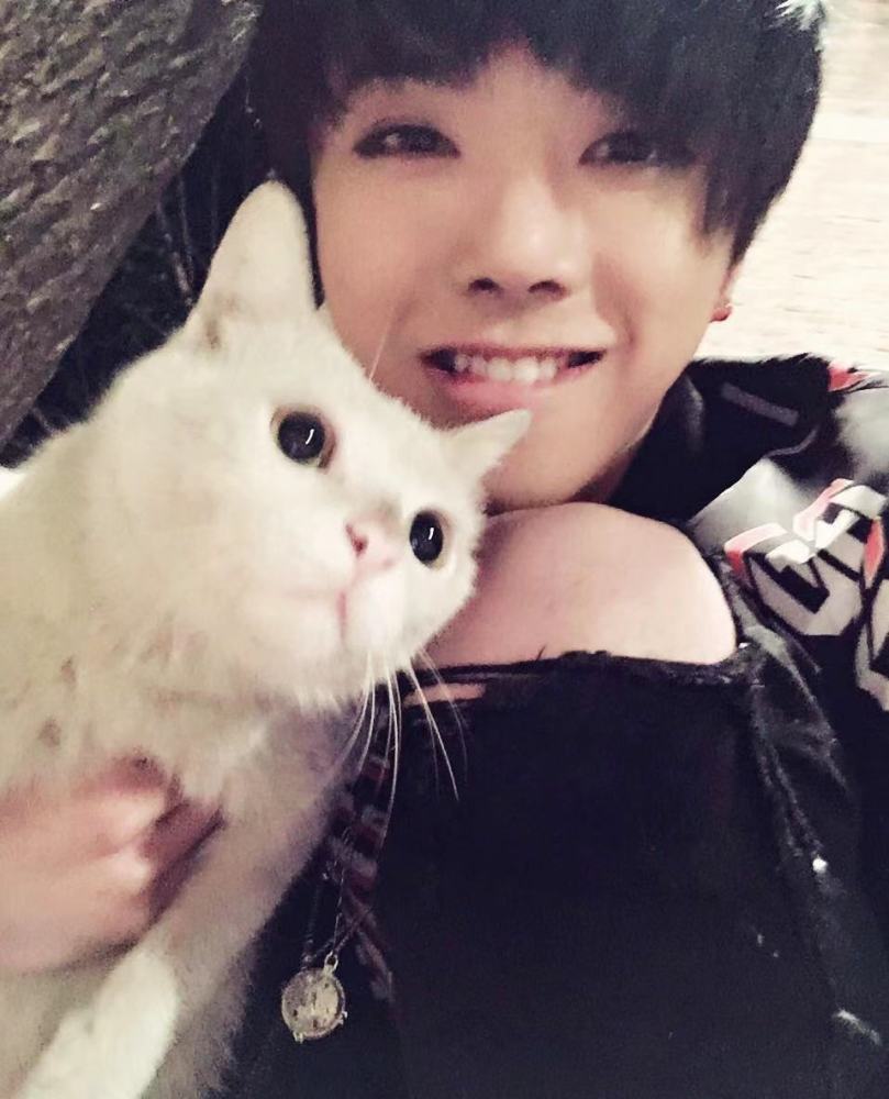 而华晨宇可是超喜欢小猫的,张碧晨也被猜测是不是选小猫送华晨宇?