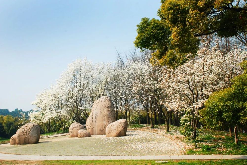 公園梅園公園閔行公園莘莊公園清澗公園梅川公園曲水園靜安區部分公園