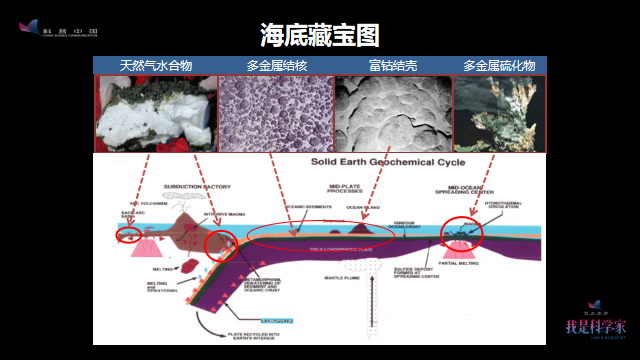 海洋|十九次出海探矿寻宝，我就是在大洋中乘风破浪的姐姐