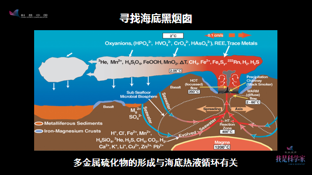 海洋|十九次出海探矿寻宝，我就是在大洋中乘风破浪的姐姐