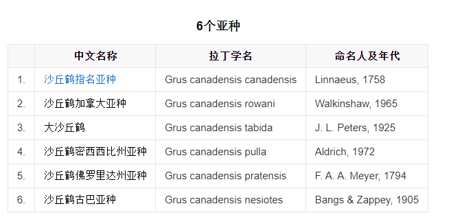 沙丘鹤|极罕见！时隔8年沙丘鹤再现北京，仅有1只，在江苏江西曾出现过